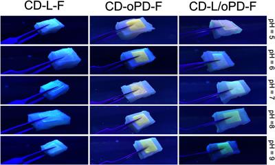 Carbon dots-based fluorescent films to act as a potential antioxidant agent and pH ratiometric sensor for skin applications